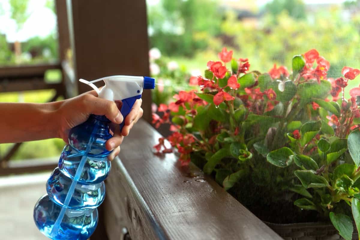 How to keep bug away from balcony