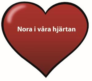 Norapartiet