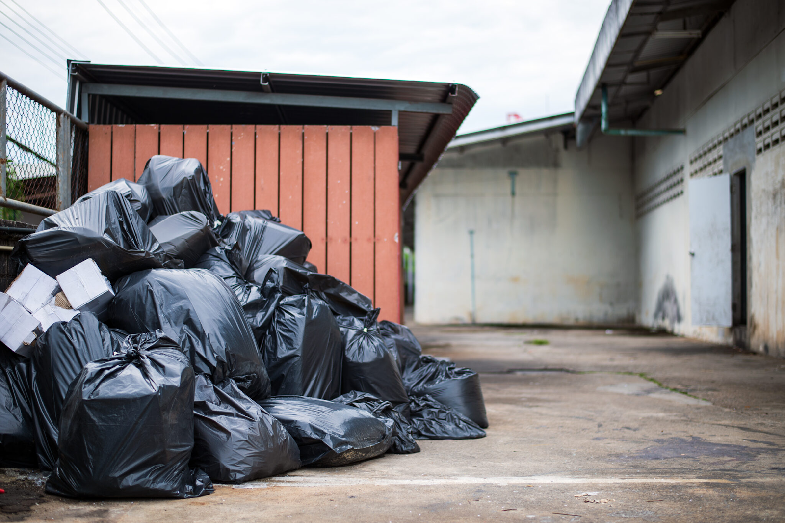 Junk Removal Magnolia Services for a Clutter-Free Life