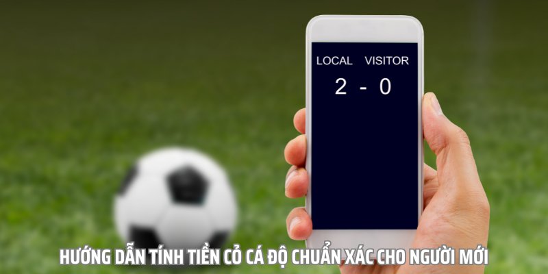 Hướng Dẫn Cách Tính Tiền Cỏ Cá Độ Chuẩn Không Cần Chỉnh