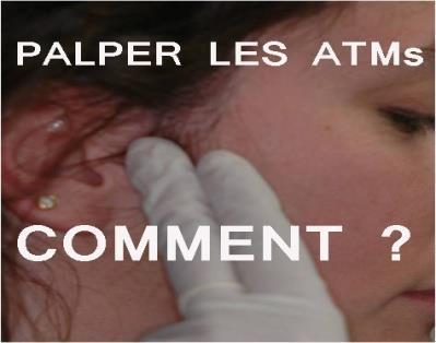 palpation de l'ATM 2.jpg