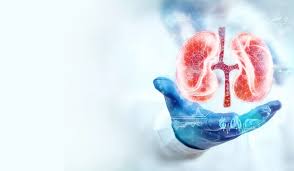 Kidney - Racket - in - Delhi: - A- Shocking - Scandal - Involving - Bangladeshis - and - a - Doctor