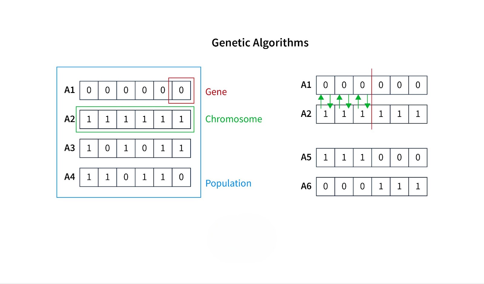 Genetic Algorithm