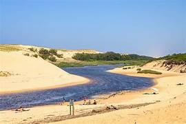 A river running through sand dunes

Description automatically generated