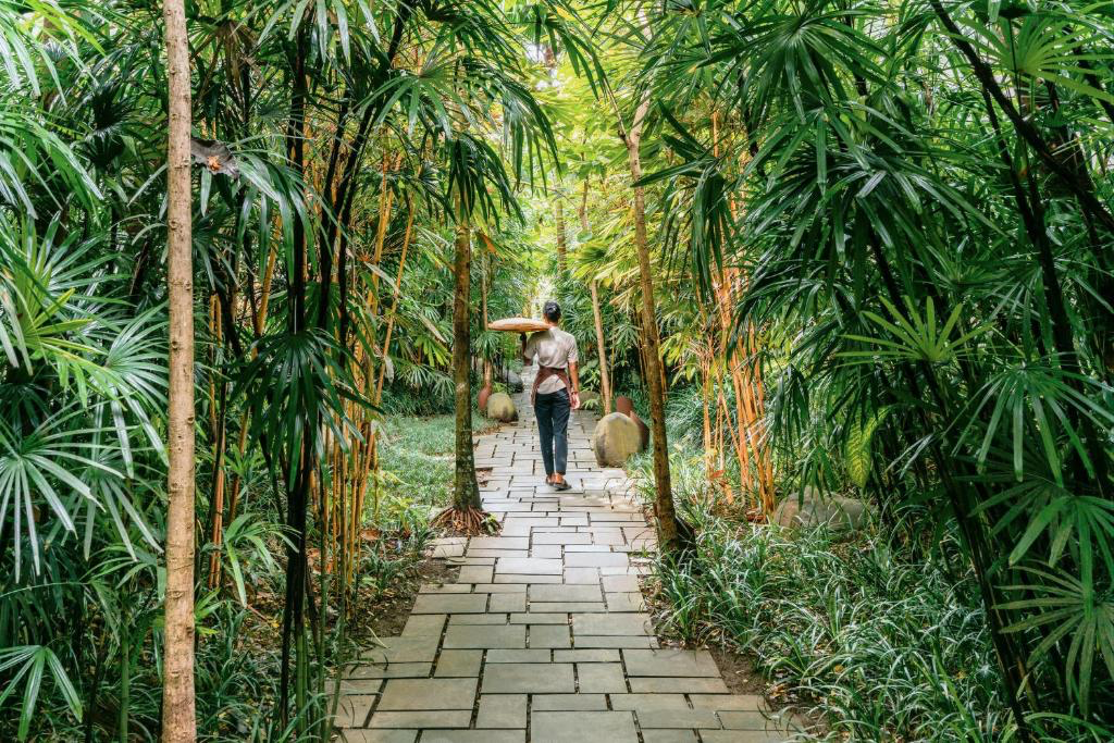 A person walking down a path through a forest

AI-generated content may be incorrect.