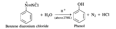 NCERT Solutions For Class 12 Chemistry Chapter 13 Amines Exercises Q6.5