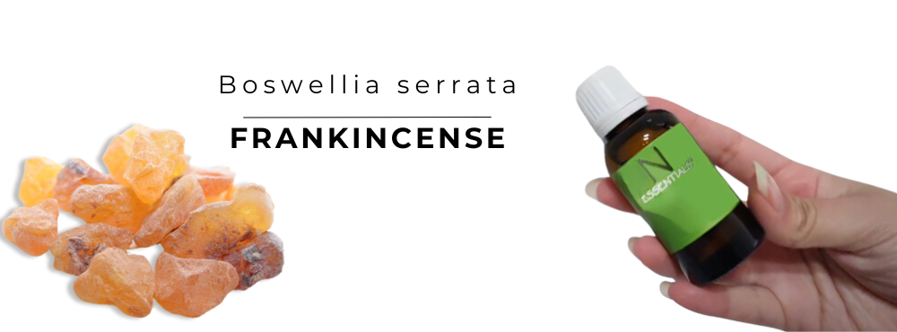 hand holding N-essential’s frankincense essential oils for skin amber bottle with depiction of a frankincense resin