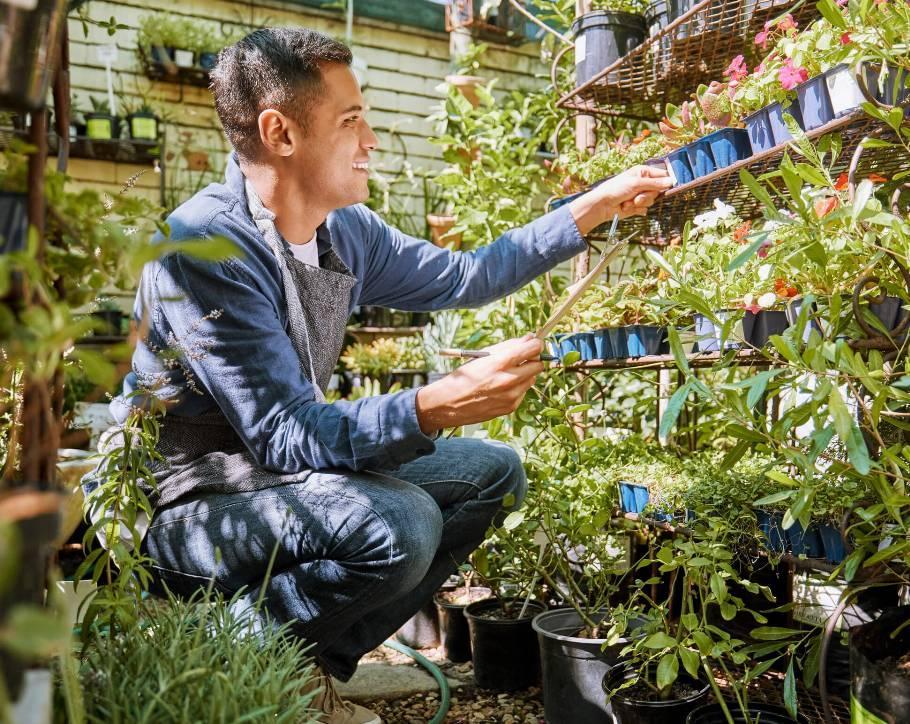 Gardener Taking Care of His Plants for Plant Therapy