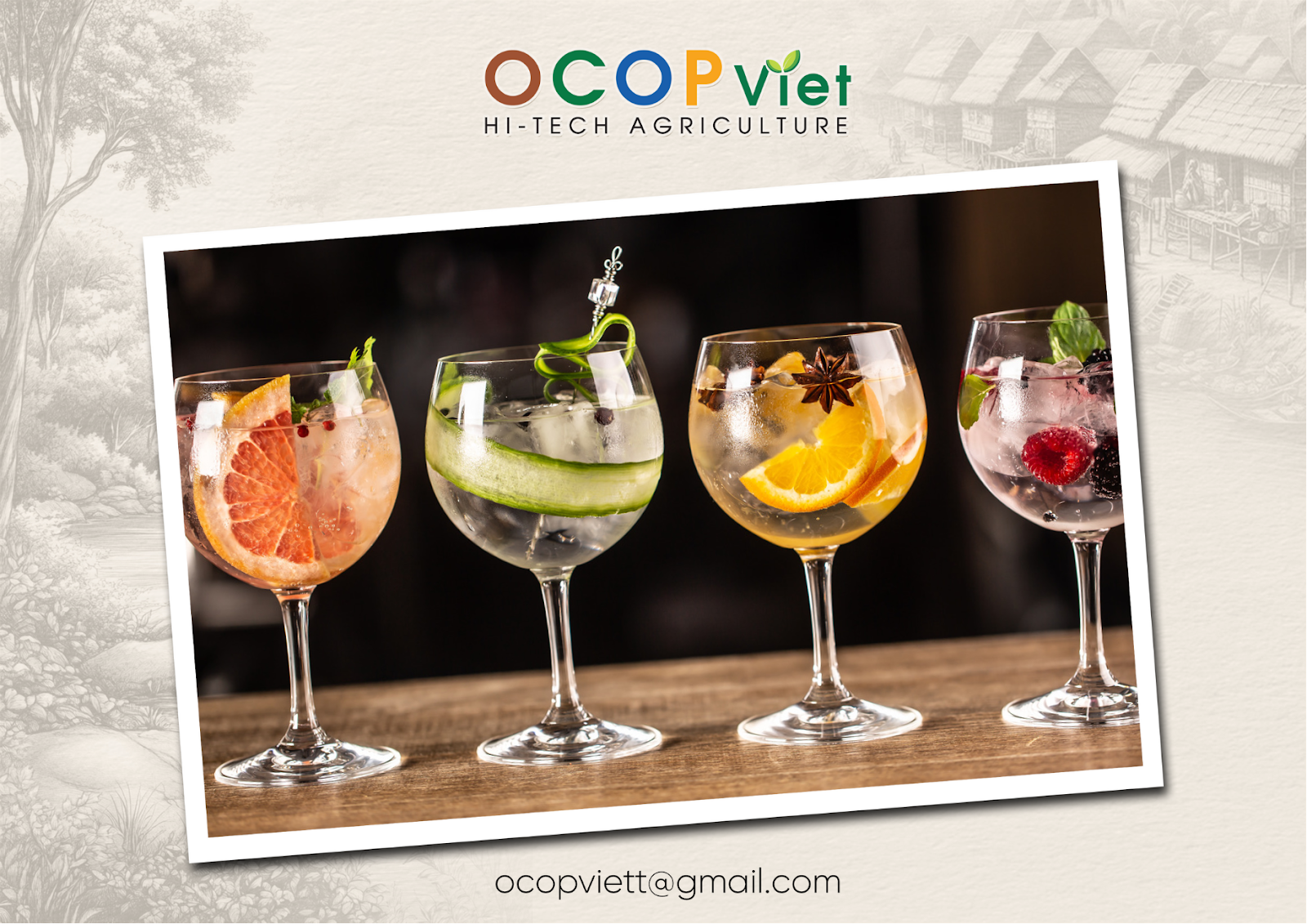 cocktail trái cây 