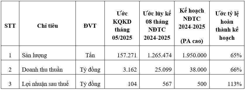 Bảng tổng hợp kết quả kinh doanh lũy kế 08 tháng đầu NĐTC 2024-2025 Tôn Hoa Sen (Ảnh: Tôn Hoa Sen)