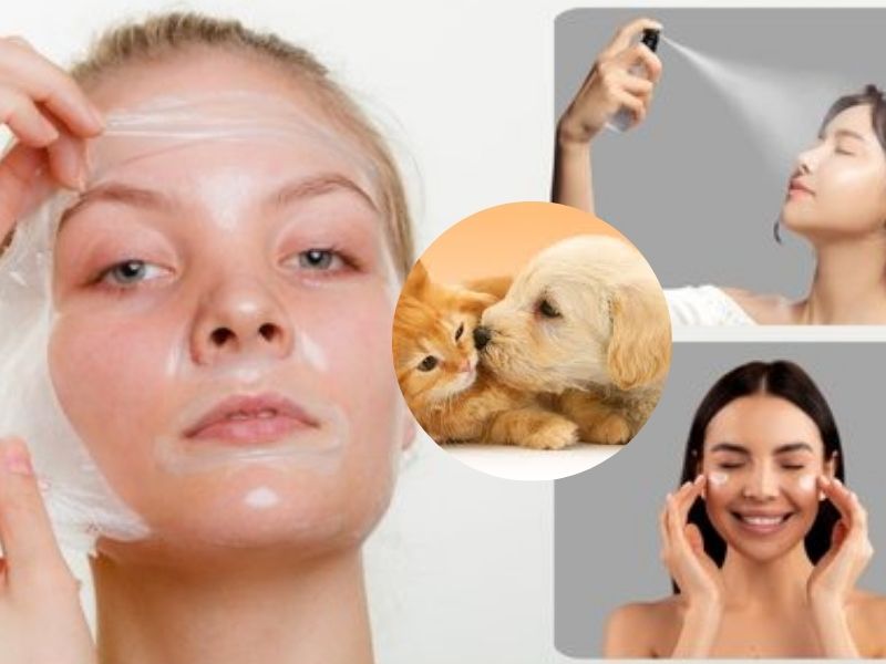 Sau khi tiêm meso có nên để thú cưng nằm gần mặt hay không? 4