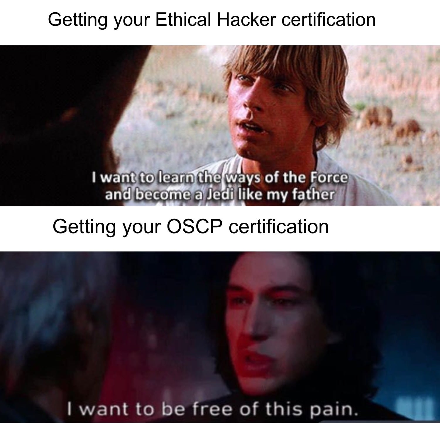 Kylo understands : r/cybersecurity