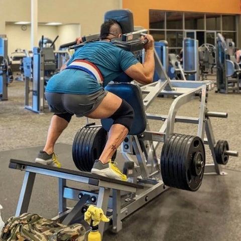 reverse hack squats