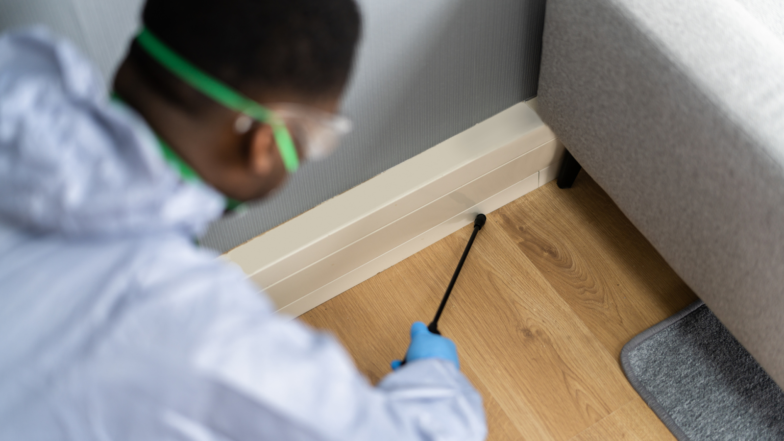 Prevent Infestations With Annual Termite Treatment