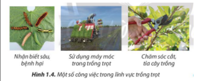 A close-up of a machine

Description automatically generated