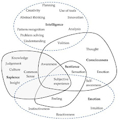 https://www.mdpi.com/systems/systems-10-00254/article_deploy/html/images/systems-10-00254-g001-550.jpg