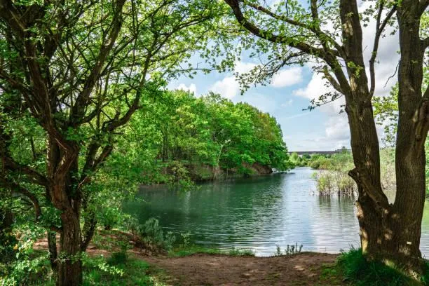 25 Nature Moments That Deserve a Second Look, remarkable nature, photo moments, nature, landscape, natural magic, scenic impact