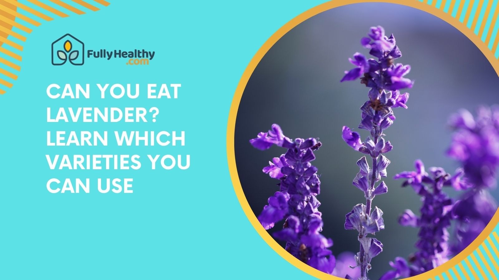 Can You Eat Lavender? Learn Which Varieties You Can Use