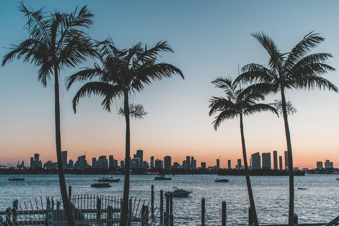 Florida Skyline at Sunset