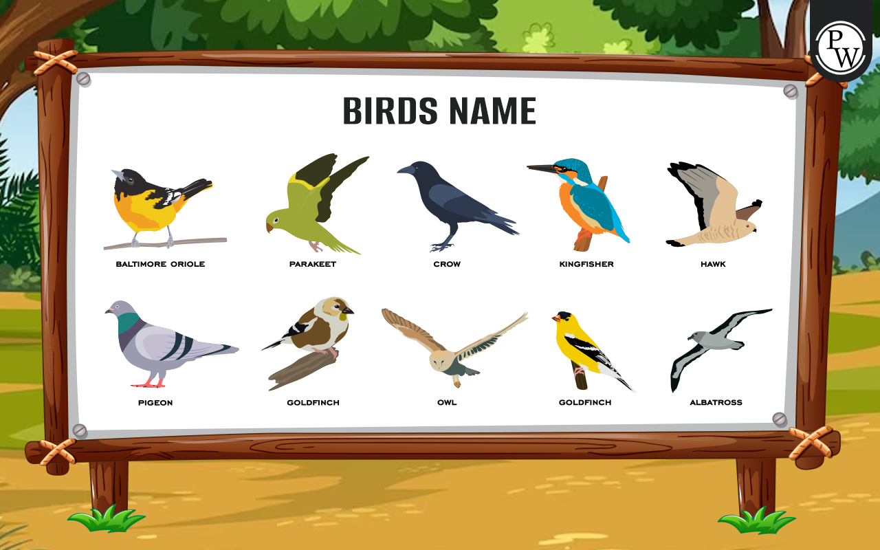 Birds Name