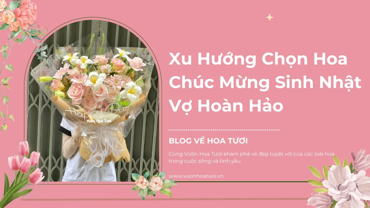 Xu Hướng Chọn Hoa Chúc Mừng Sinh Nhật Vợ Hoàn Hảo AD_4nXcKRoAPKvC9p__Ev65h-ku83O4qrVIOkMfr3Su3pTQymYTcituUx5vMDGBl14sCoIoAT6Rix9Rza4ATz5MvsvJDcuQkGHvFulJ5yGfurnhgHtUxOjqO_xrHcc2dcJOr4-javTIxtjgNQNyG70pJjDCSpR0G?key=KxpKtmfci9Drh1f3W2uexQ