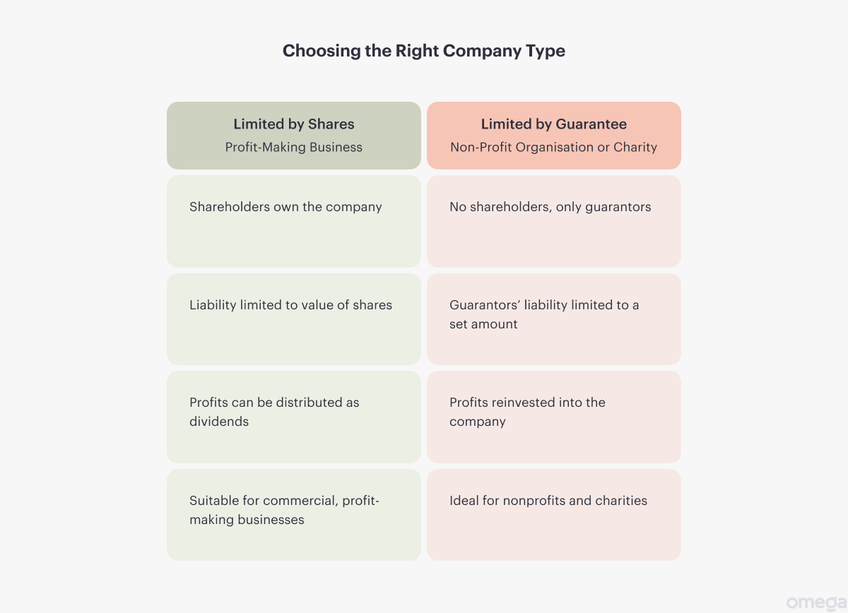 Choosing the right company type