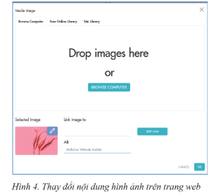 1. Hình ảnh, video trên trang web