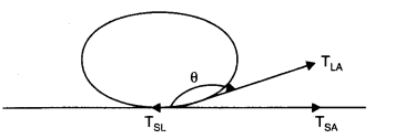 NCERT Solutions for Class 11 Physics Chapter 10 Mechanical Properties of Fluids Q2