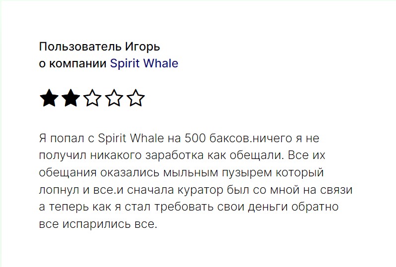 Spirit Whale отзывы