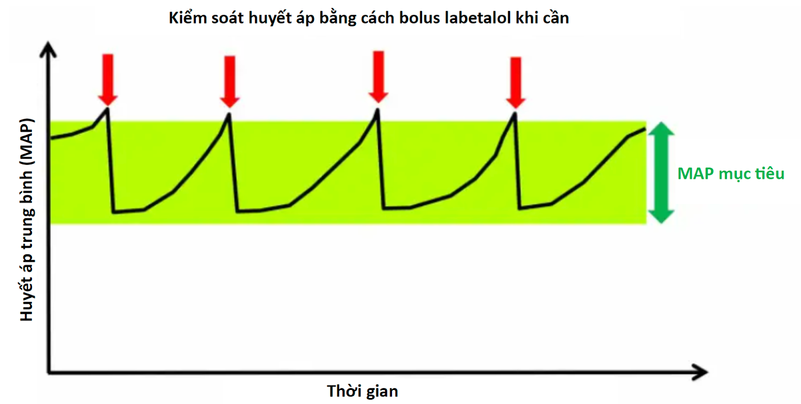 Do có thời gian bán thải khá dài, cách dùng tốt nhất của labetalol là bolus ngắt quãng (mũi tên đỏ) khi HA vượt qua mức HA mục tiêu. Chiến lược bolus khi cần giúp ngăn ngừa sự tích lũy thuốc (có thể gây tụt huyết áp quá mức).