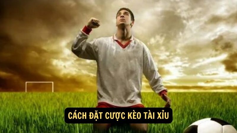 Cách đặt cược kèo tài xỉu