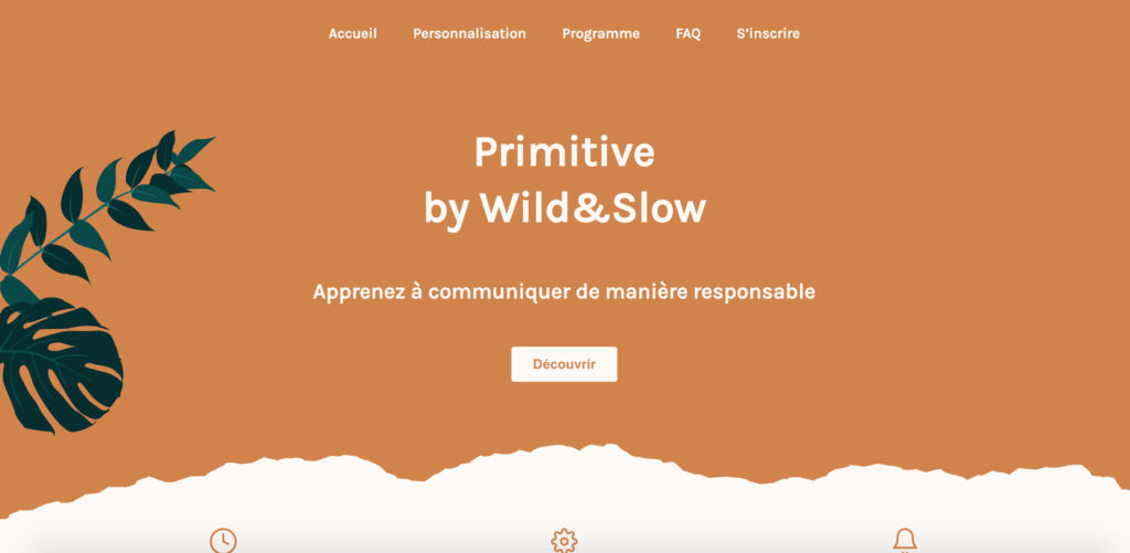 sites web éco-conçus- exemple 2