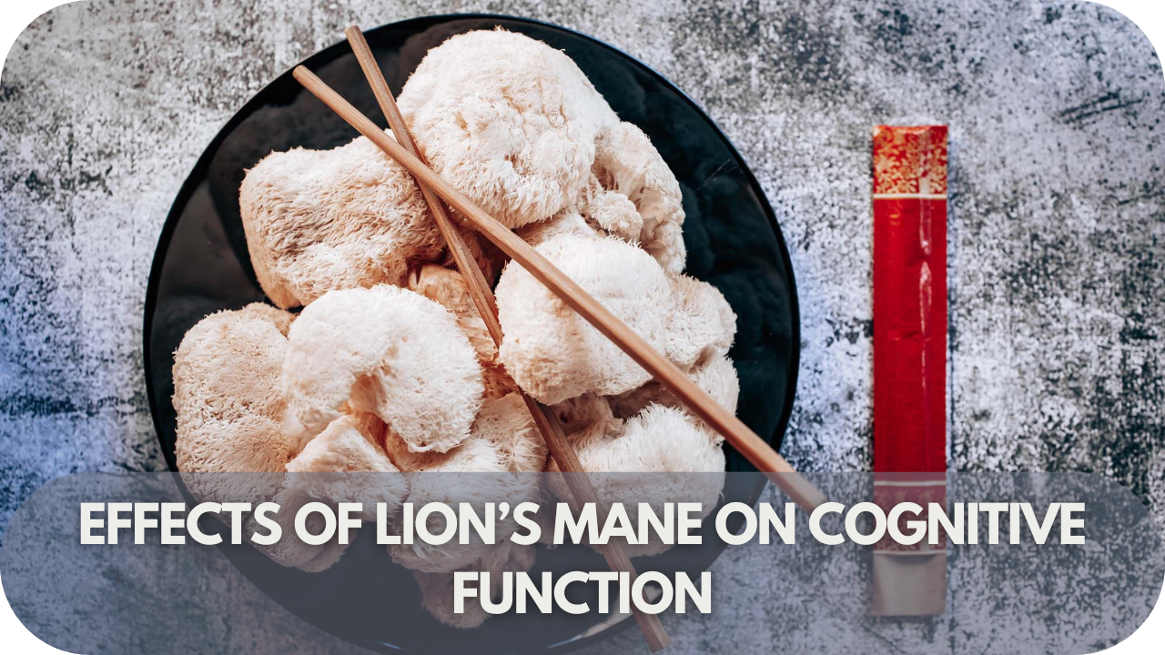 Lion’s Mane mushroom supporting cognitive function and brain health