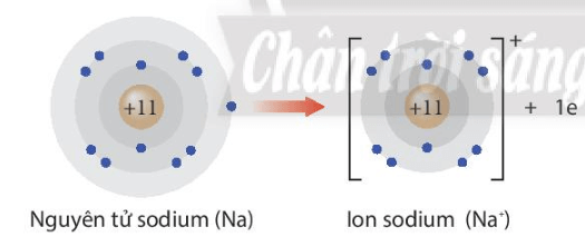 BÀI 6. XU HƯỚNG BIẾN ĐỔI MỘT SỐ TÍNH CHẤT CỦA NGUYÊN TỬ CÁC NGUYÊN TỐ,THÀNH PHẦN VÀ MỘT SỐ TÍNH CHẤT CỦA HỢP CHẤT TRONG MỘT CHU KÌ VÀ NHÓMMỞ ĐẦUKim loại kiềm là các kim loại nhóm IA, bao gồm: lithium (Li), sodium (Na), potassium (K), rubidium (Rb), caesium (Cs), francium (Fr). Chúng phản ứng được với nước và giải phóng khí hydrogen. Vậy khả năng phản ứng với nước của các kim loại trên có giống nhau hay không? Dựa vào bảng tuần hoàn các nguyên tố hóa học, chúng ta có thể giải thích được xu hướng biến đổi tính chất hóa học cơ bản của nguyên tử các nguyên tố không?Đáp án chuẩn::- Không giốnh nhau. - Có thể giải thích được.1. BÁN KÍNH NGUYÊN TỬThảo luận 1: Quan sát hình 6.1, cho biết bán kính nguyên tử của các nguyên tố trong mỗi chu kì và trong mỗi nhóm A biến đổi như thế nào?Đáp án chuẩn::- Trong mỗi chu kì, có xu hướng giảm dần từ trái sang phải.- Trong mỗi nhóm, có xu hướng tăng dần từ trên xuống dưới.Thảo luận 2: Xu hướng biến đổi bán kính nguyên tử của các nguyên tố trong mỗi chu kì và trong mỗi nhóm A do yếu tố nào gây ra?Đáp án chuẩn::Điện tích hạt nhân.Luyện tập: Dựa vào xu hướng biến đổi bán kính nguyên tử của các nguyên tố trong bảng tuần hoàn, em hãy sắp xếp các nguyên tố sau đây theo chiều tăng dần bán kính nguyên tử: Li, N, O, Na, K.Đáp án chuẩn::O, N, Li, Na, K.2. ĐỘ ÂM ĐIỆNThảo luận 3: Từ số liệu trong bảng 6.1, nhận xét sự biến đổi giá trị độ âm điện của nguyên tử các nguyên tố trong một nhóm và trong một chu kì. Giải thích.Đáp án chuẩn::Theo chiều tăng dần của điện tích hạt nhân thì:- Trong một chu kì, có xu hướng tăng dần do lực hút giữa hạt nhân với các electron lớp ngoài cùng tăng.- Trong một nhóm, có xu hướng giảm dần do bán kính nguyên tử tăng nhanh, lực hút giữa hạt nhân với các electron lớp ngoài cùng giảm.Thảo luận 4: Hãy cho biết vì sao trong bảng 6.1, giá trị độ âm điện của nguyên tử các nguyên tố nhóm VIIIA còn để trống.Đáp án chuẩn::Do là khí trơ mà khí trơ không nhường hay nhận electron.Luyện tập: Dựa vào xu hướng biến đổi độ âm điện của nguyên tử các nguyên tố trong bảng tuần hoàn, em hãy sắp xếp các nguyên tố sau đây theo chiều tăng dần độ âm điện của nguyên tử: Na, K, Mg, Al.Đáp án chuẩn::K, Na, Mg, Al.3. TÍNH KIM LOẠI, TÍNH PHI KIMThảo luận 5: Giải thích sự hình thành ion Na+ và ion F-.Đáp án chuẩn::- Na → Na+ + 1eNa nhường 1 electron để trở thành Na+- F + 1e → F- F nhận 1 electron để trở thành F-Thảo luận 6: Khả năng nhường hoặc nhận electron hóa trị của nguyên tử các nguyên tố nhóm A thay đổi như thế nào khi:a) đi từ đầu chu kì đến cuối chu kì?b) đi từ đầu nhóm đến cuối nhóm?Đáp án chuẩn::a)  Khả năng nhường electron hóa trị giảm dần và nhận electron hóa trị tăng dần.b) Khả năng nhường electron hóa trị tăng dần và nhận electron hóa trị giảm dần.Luyện tập: Dựa vào xu hướng biến đổi tính kim loại- phi kim của các nguyên tố trong bảng tuần hoàn, hãy sắp xếp các nguyên tố sau đây theo chiều giảm dần tính kim loại: sodium, magnesium và potassium.Đáp án chuẩn::Potassium, sodium, magnesium.4. TÍNH ACID – BASE CỦA OXIDE VÀ HYDROXIDEThảo luận 7: Từ các phản ứng của các oxide và hydroxide: Na20, NaOH, Al2O3, Al(OH)3, SO2, H2SO4 với các  dung dịch HCL, KOH hãy nhận xét tính acid, base của các oxide và hydroxide trên.Đáp án chuẩn::- Na2O: basic oxide- Al2O3: oxide lưỡng tính- SO3: acidic oxide- NaOH: base- Al(OH)3: hydroxide lưỡng tính- H2SO4: acidThảo luận 8: Quan sát bảng 6.2, hãy liên hệ xu hướng biến đổi tính acid tính base của oxide và hydroxide tương ứng với tính kim loại, phi kim của các nguyên tố trong chu kì.Đáp án chuẩn::Theo chiều tăng dần của điện tích hạt nhân, tính base oxide của oxide và hydroxide tương ứng giảm dần, tính acid chúng tăng dần.Luyện tập: Dựa vào xu hướng biến đổi tính acid-base của oxide và hydroxide tương ứng của các nguyên tố trong bảng tuần hoàn, hãy sắp xếp các hợp chất sau đây theo chiều giảm dần tính acid của chúng H2SiO3, HClO4, H2SO4, H3PO4.Đáp án chuẩn::HClO4, H2SO4, H3PO4, H2SiO3.Vận dụng: Aspartame là một chất làm ngọt nhân tạo, được sử dụng trong một số loại soda dành cho người ăn kiêng. Xác định vị trí của các nguyên tố tạo nên aspartame trong bảng tuần hoàn. Trong số các nguyên tố đó, nguyên tố nào có tính phi kim mạnh nhất?Đáp án chuẩn::- C: thuộc ô số 6, nhóm IVA, chu kì 2;- H: thuộc ô số 1 nhóm IA, chu kì 1;- N: thuộc ô số 7, nhóm VA, chu kì 2;- O: thuộc ô số 8, nhóm VIA, chu kì 2;O có tính phi kim mạnh nhất.BÀI TẬP