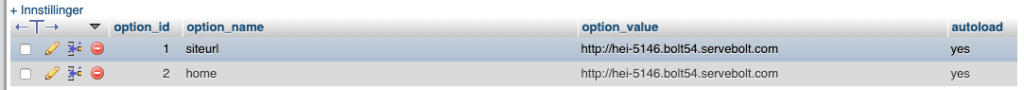 Example of the option_value in phpMyAdmin.