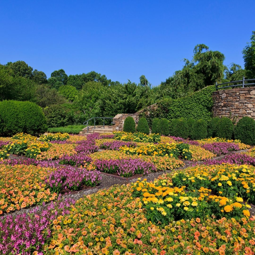 Botanical Gardens at Asheville