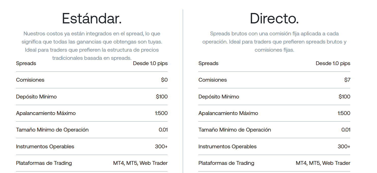 tipos de cuentas blueberry markets