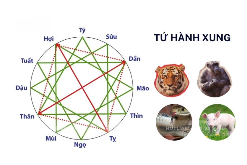 Dần Thân Tỵ Hợi là gì?