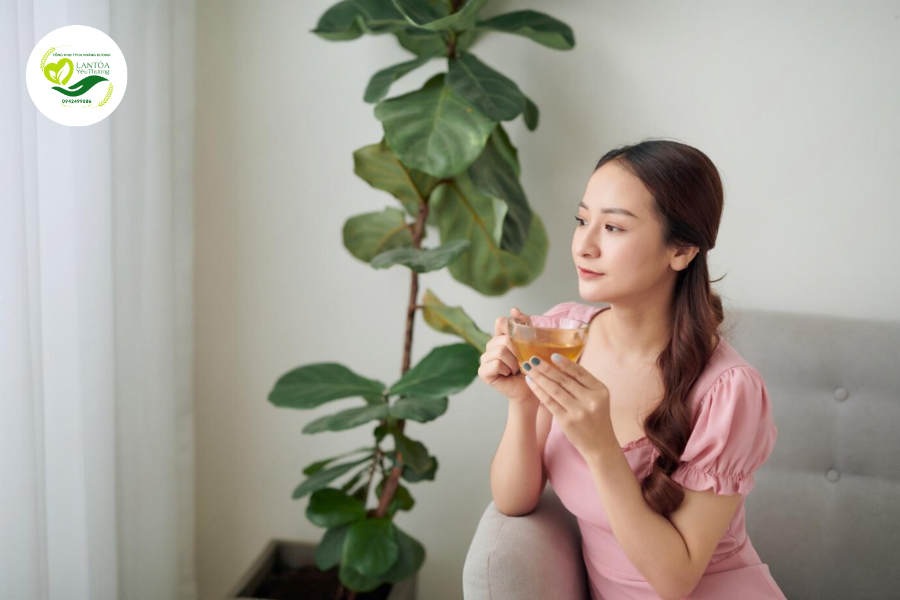 Đối tượng sử dụng Trà thảo mộc cô đặc Herbalife 