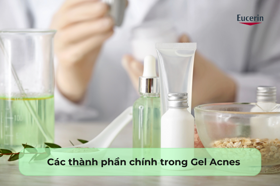 Các thành phần chính trong Gel Acnes