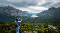 20 Forests With Soft Footpaths and Light