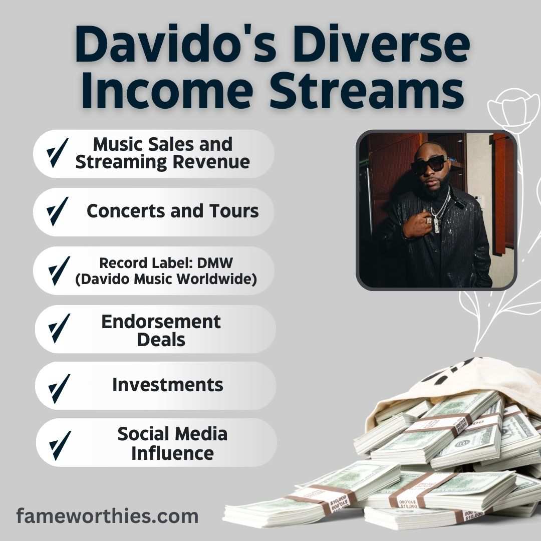 Davido's Diverse Income Streams