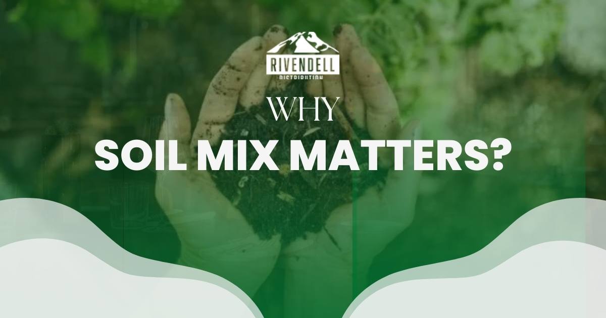 Why Soil Mix Matters