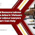 7 Critical Reasons Labour Disputes Arise in Vietnam And How Labour Lawyers in Vietnam Can Help