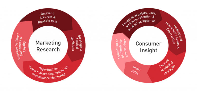 Market Research and Consumer Insights