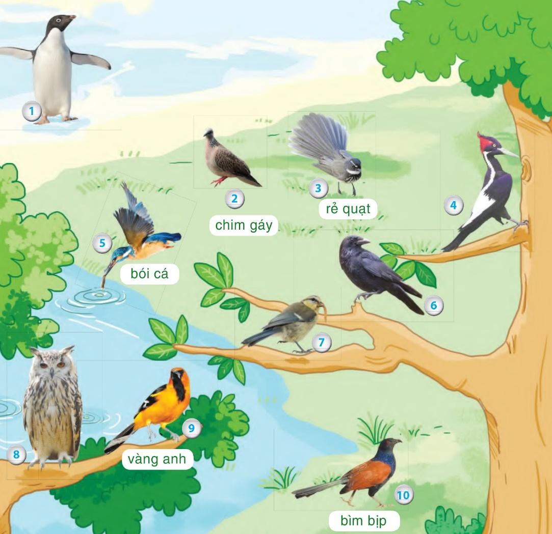 BÀI 23: THẾ GIỚI LOÀI CHIMChia sẻCâu 1: Hãy gọi tên những loài chim có trong ảnh.Đáp án chuẩn:Chim cánh cụt, chim gáy, chim rẻ quạt, chim gõ kiến, chim bói cá, chim sâu, quạ, chim cú mèo, chim vàng anh và chim bìm bịp.Câu 2: Hãy sắp xếp tên các loài chim nói trên vào nhóm thích hợp:a) Gọi tên theo hình dáng, màu sắc.b) Gọi tên theo tiếng kêu.c) Gọi tên theo cách kiếm ăn.Đáp án chuẩn:a) Chim cánh cụt, chim cú mèo, chim vàng anh, chim rẻ quạt.b) Chim bìm bịp, chim gáy, quạ.c) Chim bói cá, chim gõ kiến, chim sâu.BÀI ĐỌC 1: CHIM ÉNCâu 1: Em hiểu chim én “rủ mùa xuân cùng về” nghĩa là gì? Chọn ý đúng:a) Chim én báo hiệu mùa xuân về.b) Chim én dẫn đường cho mùa xuân về.c) Chim én về để mở hội xuân.Đáp án chuẩn:a) Câu 2: Tìm những câu thơ tả vẻ đẹp của cây cối khi xuân về.Đáp án chuẩn: “Cỏ mọc xanh chân đêRau xum xuê nương bãiCây cam vàng thêm tráiHoa khoe sắc nơi nơi.”Câu 3: Em muốn chim én nói gì khi xuân về.Đáp án chuẩn:- Chim én nói rằng mùa xuân đã tới, mùa của cây cối đâm trồi nảy lộc, mùa của sắc xuân.Luyện tậpCâu 1: Bộ phận nào trong mỗi câu sau trả lời cho câu hỏi Ở đâu? a) Cỏ mọc xanh ở chân đê.b) Rau xum xuê trên nương bãi.c) Hoa khoe sắc khắp nơi.Đáp án chuẩn:a) Ở chân đê.b) Trên nương bãi.c) Khắp nơi.Câu 2: Xếp các từ ngữ sau vào nhóm thích hợp:Đáp án chuẩn:- Chim én, hoa, cánh, mầm non.- Mở hội, lượn bay, dẫn lối, rủ, chao, vẫy.Bài viết 1Câu 1: Nghe - viết: Chim én (2 khổ thơ đầu)Đáp án chuẩn:Nghe - viết)Câu 2: Chọn chữ hoặc vần phù hợp với ô trống:a) Chữ l hay n?Khi phương đông vừa vẩn bụi hồng, họa mi lại hót vang ...ừng, chào ...ắng sớm. Hót xong, ...ó xù ...ông rũ hết những giọt sương rồi chuyển bụi cây, tìm sâu, ăn ...ót dạ, đoạn vỗ cánh bay đi. Theo NGỌC GIAOb) Vần ươc hay ươt?Mưa đến rồi. Mọi người không tưởng đ... là mưa lại kéo đến chóng thế. Bao nhiêu n... tuôn rào rào. Lá đào, lá na, lá sói vẫy tai run rẩy. Con gà trống ... lướt th... ngật ngưỡng tìm chỗ trú.Theo TÔ HOÀIĐáp án chuẩn:a) lừng, nắng, nó, lông b) tưởng, nước, ướt, thướt Câu 3: a) Tìm và viết các tiếng bắt đầu bằng l hay n, có nghĩa như sau:- Tiếng chim hót có nhiều âm thanh cao và trong ríu vào nhau nghe vui tai.- Vật để thắp sáng, hình trụ, làm bằng sáp hoặc bơ, ở giữa có bấc.- Ánh sáng trực tiếp từ mặt trời chiếu xuống.- Có nhiệt độ thấp hơn nhiều so với mức nhiệt độ trung bình.Đáp án chuẩn:a) - lảnh lót- nến- nắng- lạnhCâu 4: Tập viếtĐáp án chuẩn:Tập viết.BÀI ĐỌC 2: CHIM RỪNG TÂY NGUYÊN Câu 1: Tìm những từ ngữ tả vẻ đẹp của mặt hồ Y-rơ-pao.Đáp án chuẩn:Mặt hồ càng xanh và rộng ra mênh mông.Câu 2: Quanh hồ Y-rơ-pao có những loài chim nào?Đáp án chuẩn:Chim đại bàng, thiên nga, chim kơ-púc.Câu 3: Dựa theo bài đọc, hãy tả lại hình ảnh của một loài chom mà em thích.Đáp án chuẩn:Cách đây 1 tuần, em được ông dẫn đi mua chim bồ câu. Ông đã chọn được hai cặp bồ câu Nhật, lông trắng muốt, đuôi xoè rộng như đuôi công, trông rất dễ thương. Chiếc mỏ màu hồng nhạt cùng với đôi chân nhỏ xíu rất đáng yêu và chúng có cặp mắt viền một vành lông xám, lúc nào cũng mở to. Hàng ngày, ông tự tay chăm sóc, nuôi dưỡng chúng. Nuôi chim bồ câu không tốn công nhiều mà lại rất sạch sẽ và chúng rất hiền hậu, luôn sống hòa thuận với nhau. Vì vậy, em rất yêu quý loài chim này.Luyện tậpCâu 1: Bộ phận in đậm trong những câu sau trả lời cho câu hỏi nào?a) Hồ Y-rơ-pao ở Tây Nguyên.b) Những tiếng chim ríu rít cất lên quanh hồ.c) Họ nhà chim ríu rít bay đến đậu ở những bụi cây quanh hồ.Đáp án chuẩn:a) Hồ Y-rơ-pao ở Tây Nguyên (ở đâu?)b) Những tiếng chim ríu rít cất lên quanh hồ (ở đâu?)c) Họ nhà chim ríu rít bay đến đậu ở những bụi cây quanh hồ (ở đâu?)Câu 2: Tìm bộ phận trả lời cho câu hỏi Ở đâu?a) Đại bàng chao lượn trên nền trời xanh thẳm.b) Trên mặt hồ, bầy thiên nga trắng muốt đang bơi lội.c) Ven hồ, những con chim kơ-púc hót lên lanh lảnh.Đáp án chuẩn:a) Trên nền trời xanh thẳm.b) Trên mặt hồ.c) Ven hồ.Bài viết 2