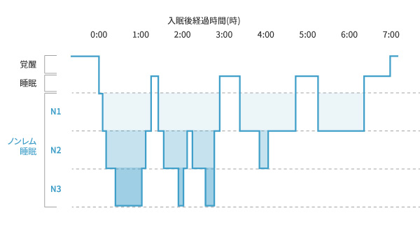 ノンレム睡眠には「3つの睡眠ステージ」がある