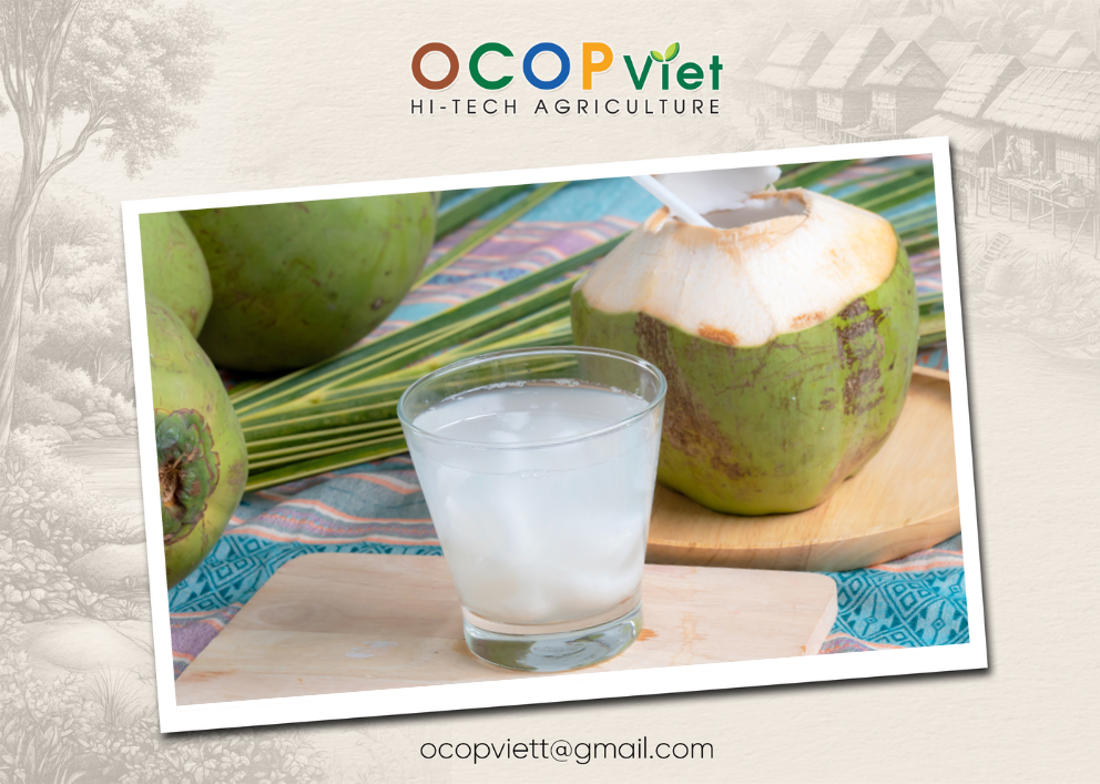 có nên uống nước dừa buổi tối