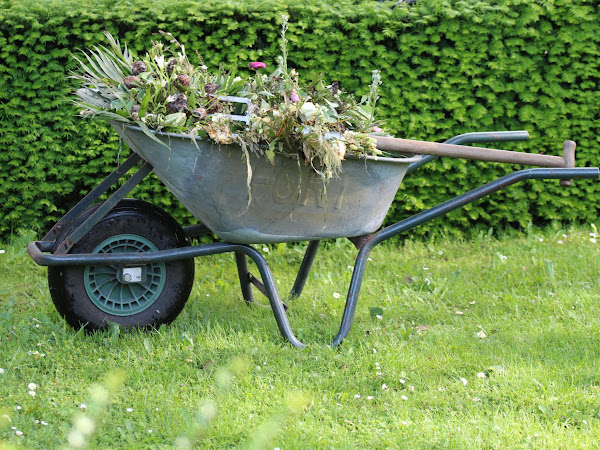 How To Win The War On Weeds In Your Garden