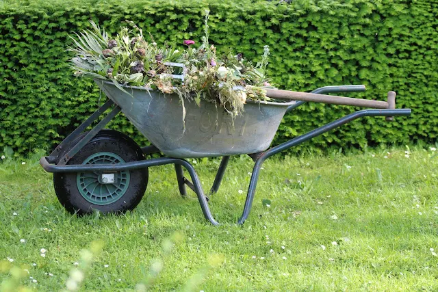 A garden wheelbarrow filled with soil and gardening tools, surrounded by a weed-free garden bed.